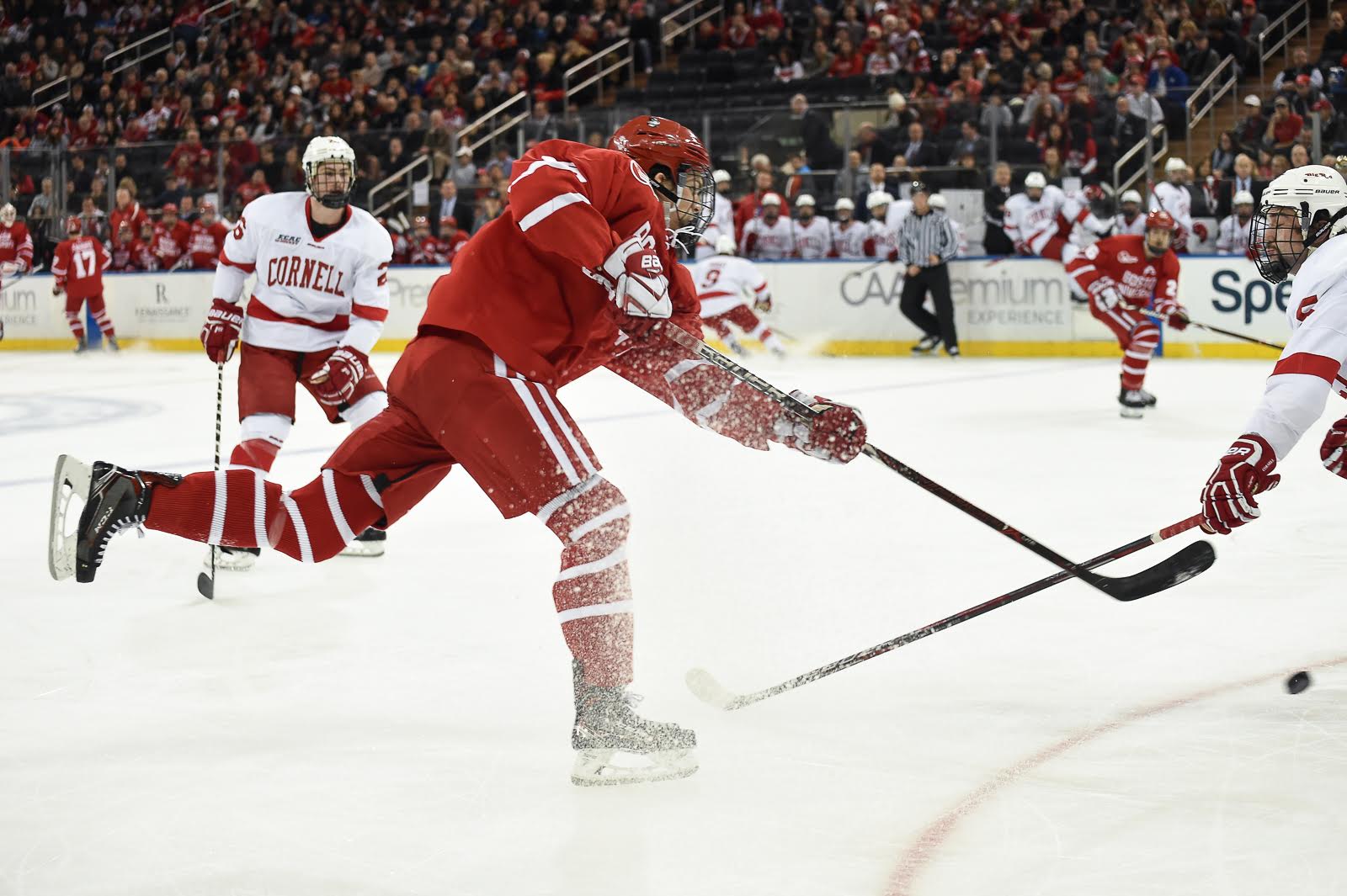 The Terriers now have a 3-1-2 record in Red Hot Hockey. PHOTO BY MADDIE MALHOTRA/ DAILY FREE PRESS STAFF